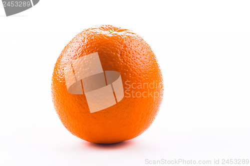 Image of orange
