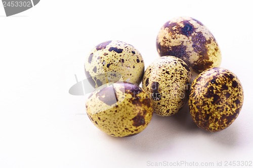 Image of Quail eggs