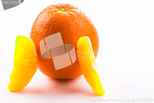 Image of orange