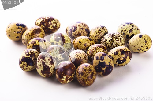 Image of Quail eggs