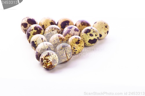 Image of Quail eggs