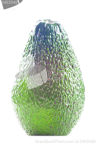 Image of Avocado