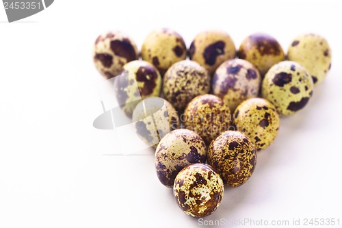 Image of Quail eggs