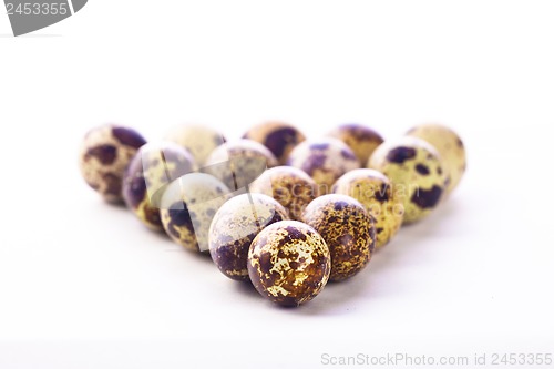 Image of Quail eggs