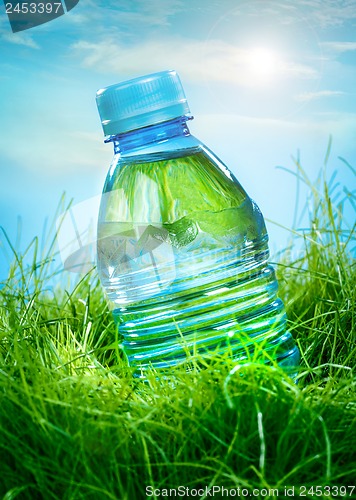 Image of Water bottle on the grass