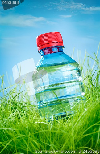 Image of Water bottle on the grass