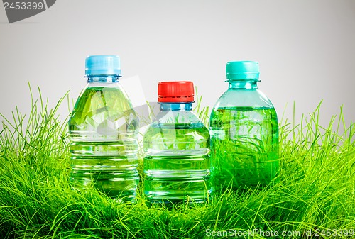 Image of Water bottle on the grass