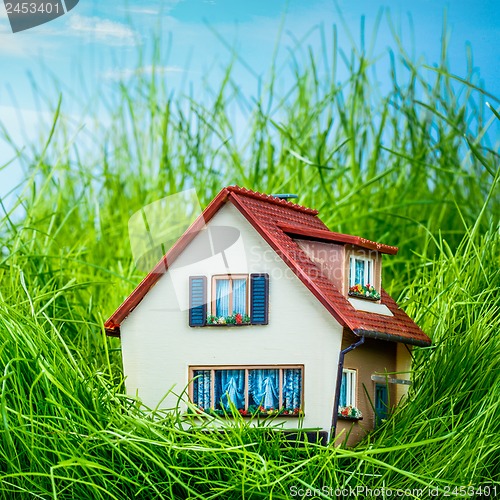 Image of House on the green grass