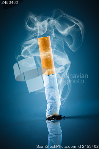 Image of Cigarette butt - No smoking.