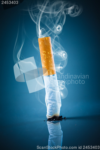 Image of Cigarette butt - No smoking.