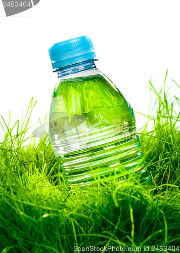 Image of Water bottle on the grass