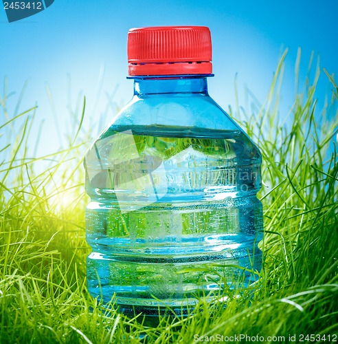 Image of Water bottle on the grass