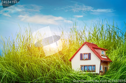 Image of House on the green grass