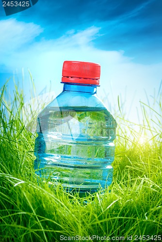 Image of Water bottle on the grass