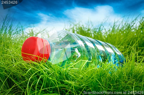 Image of Water bottle on the grass.