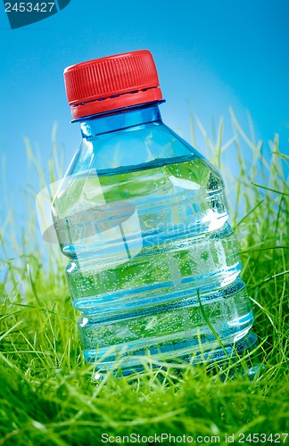 Image of Water bottle on the grass