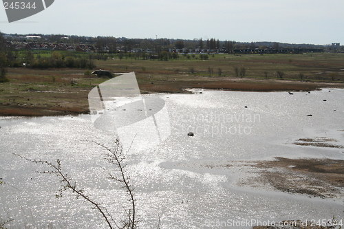 Image of Sea meadows