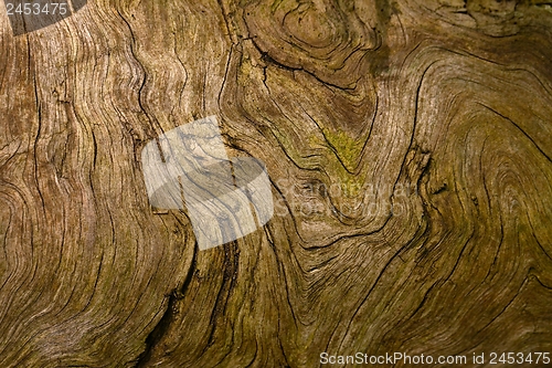 Image of Wood Texture