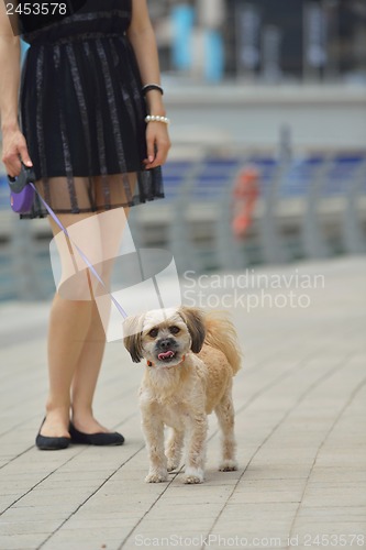 Image of happy young woman with puppy have fun