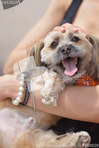 Image of happy young woman with puppy have fun