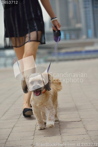 Image of happy young woman with puppy have fun