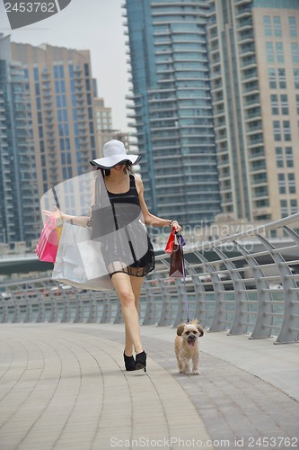 Image of beautiful woman goes in shopping