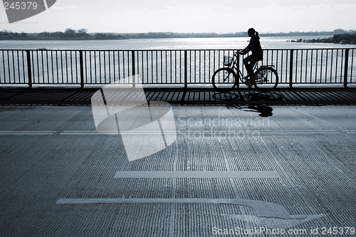 Image of Early morning cyclist