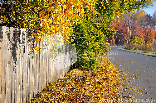 Image of Golden autumn, old fence and road...