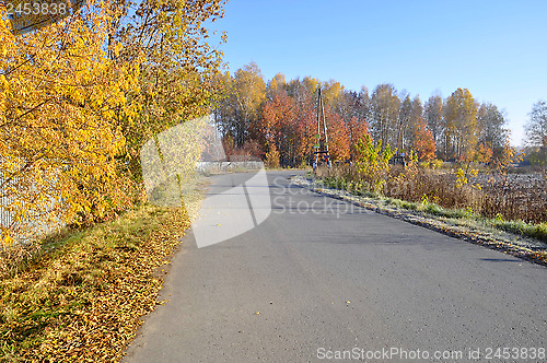 Image of Golden autumn and road...
