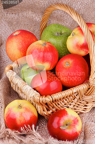 Image of Autumn Apples