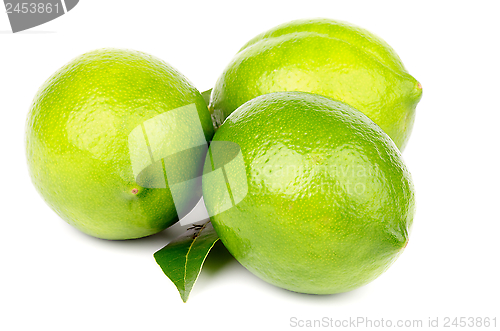 Image of Limes