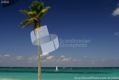Image of ocean view