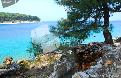 Image of Raduca bay, Primosten Croatia