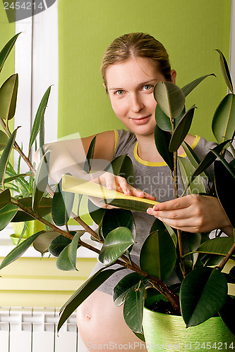 Image of Cute Pregnant Woman On Kitchen