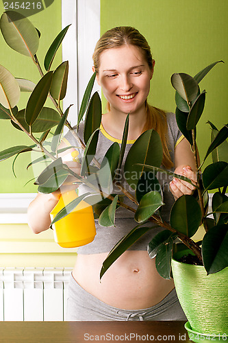 Image of Cute Pregnant Woman On Kitchen