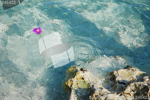 Image of Clean water. Croatia