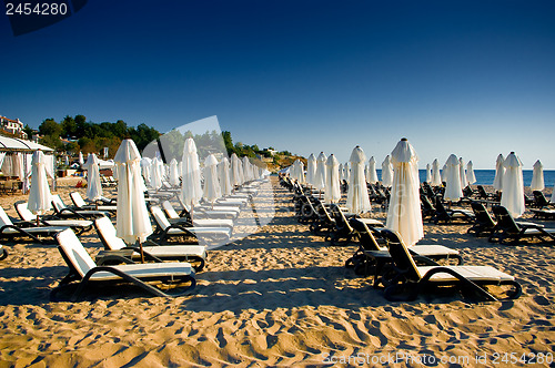 Image of Oasis beach.