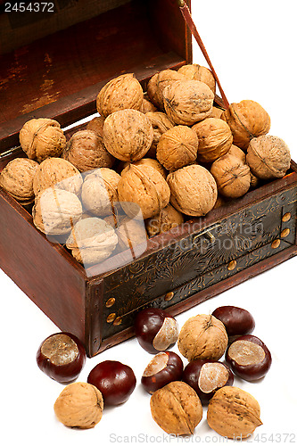 Image of Chest With Walnuts 