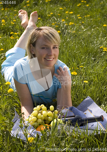 Image of picnic