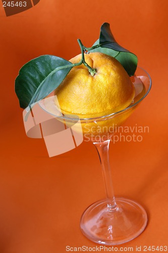 Image of Orange Cocktail