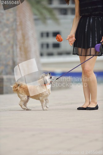 Image of happy young woman with puppy have fun