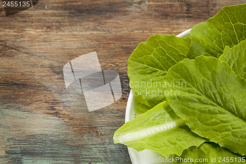 Image of romaine or cos lettuce