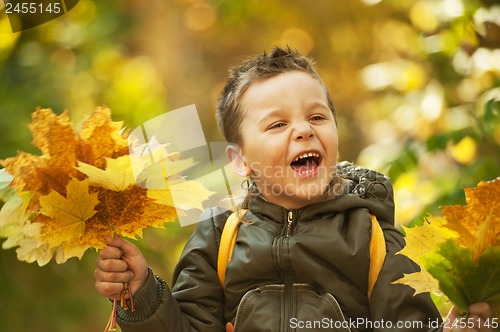 Image of autumn baby boy