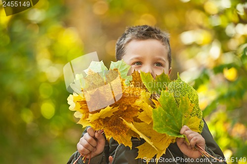 Image of autumn baby boy