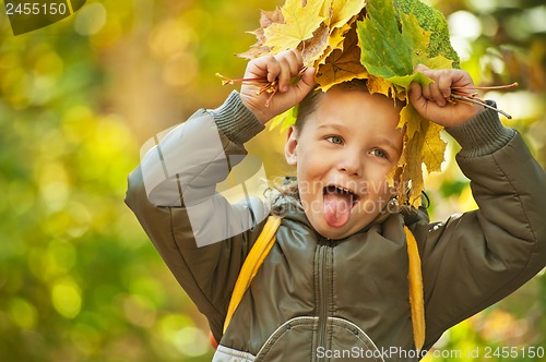 Image of autumn baby boy
