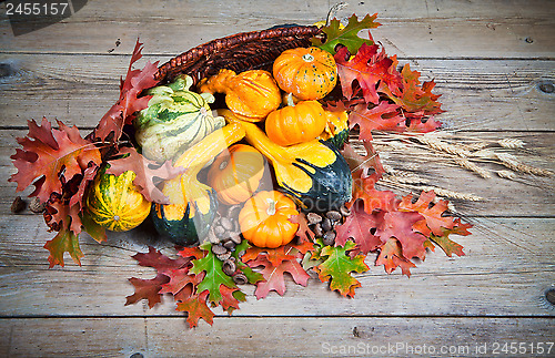 Image of Pumpkins and Gourds