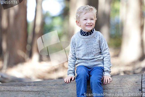 Image of boy in the woods