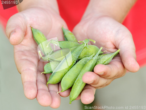 Image of teenager man hand holding peas