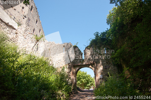 Image of Castle in France forest