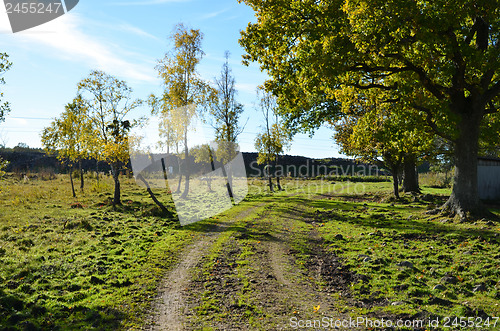 Image of Rural tracks